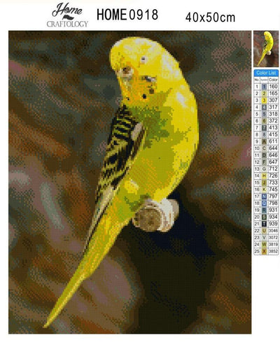 Parakeet - Diamond Painting Kit - Home Craftology