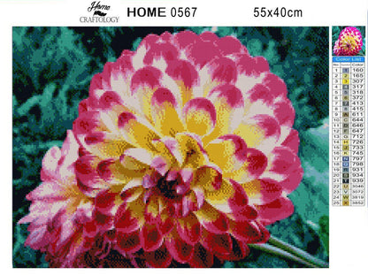 Pink and White Dahlia - Diamond Painting Kit - Home Craftology