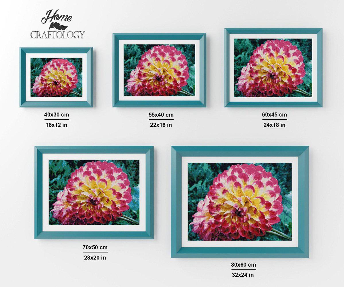 Pink and White Dahlia - Diamond Painting Kit - Home Craftology