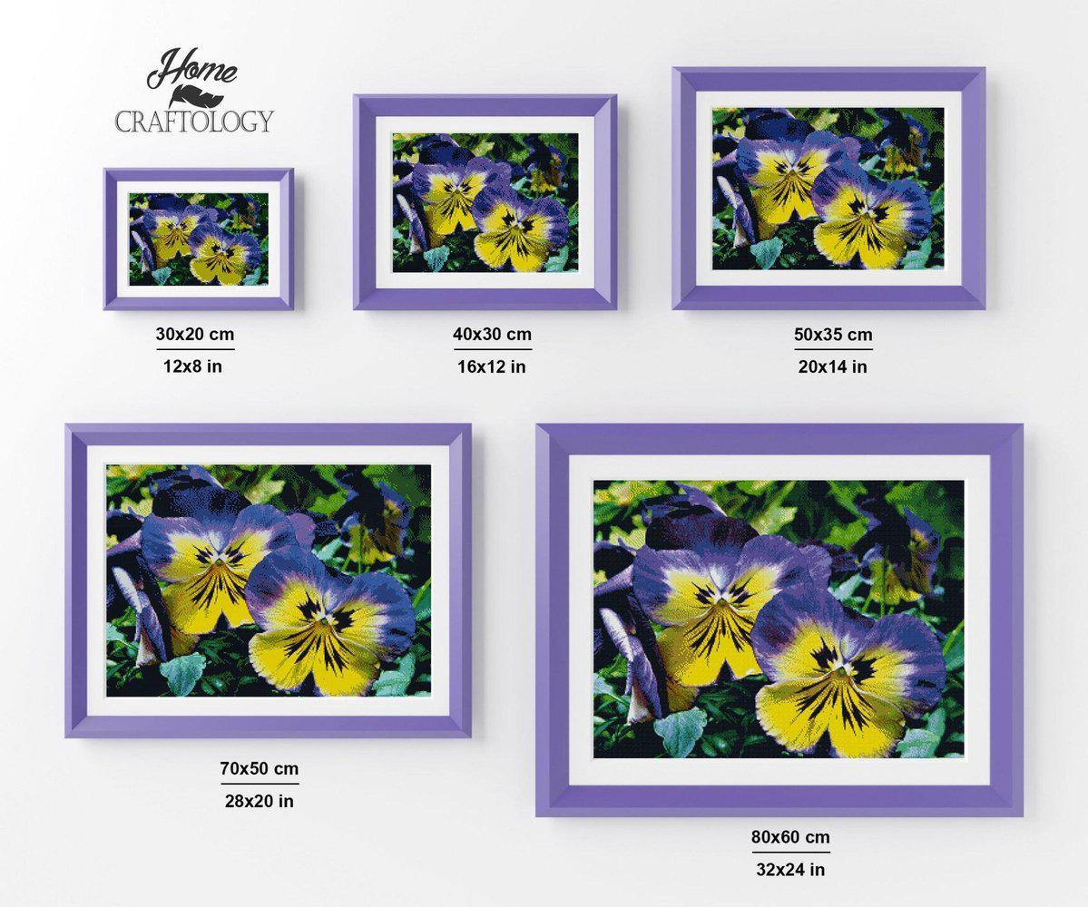 Purple Pansy - Diamond Painting Kit - Home Craftology