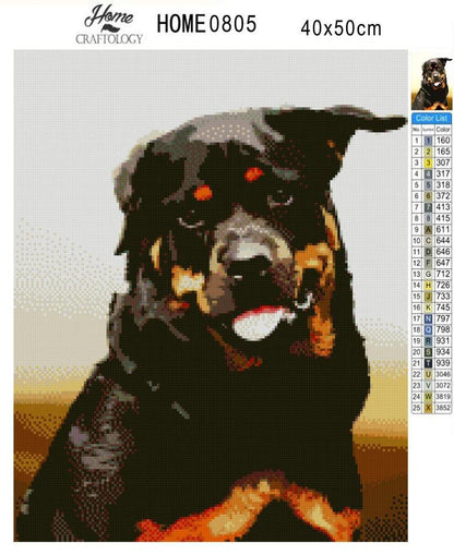 Rottweiler Painting - Diamond Painting Kit - Home Craftology