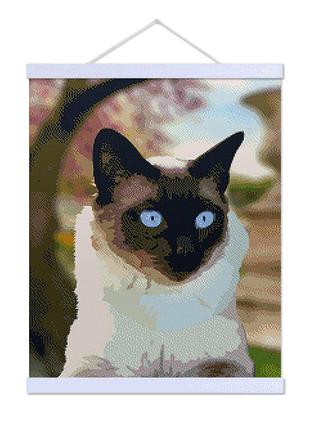 Siamese - Exclusive Premium Diamond Painting Kit