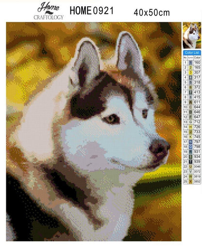 Siberian Husky - Diamond Painting Kit - Home Craftology