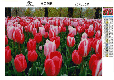 Two Toned Tulips - Diamond Painting Kit - Home Craftology