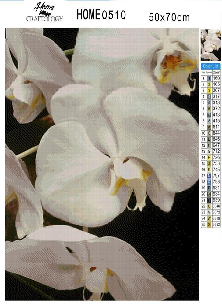 White Orchid - Diamond Painting Kit - Home Craftology