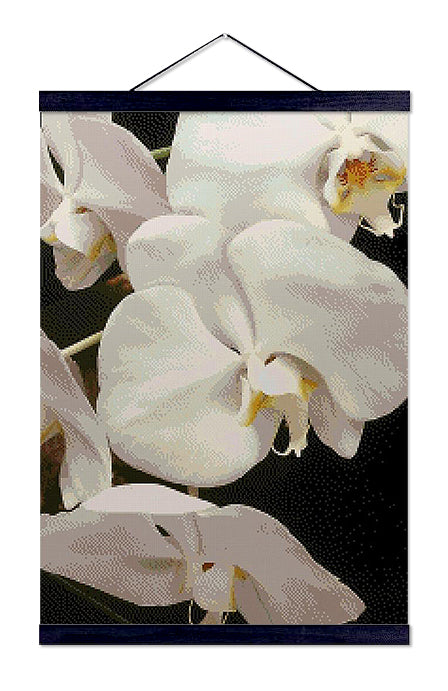 White Orchid - Premium Diamond Painting Kit