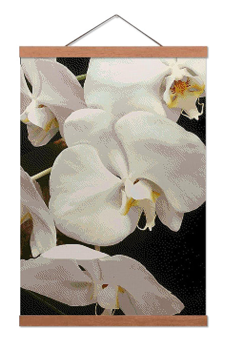White Orchid - Premium Diamond Painting Kit